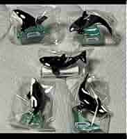 鴨川シーワールド シャチ フィギュア 5/1から！> 5月1日(木)～5月6日(火)の期間限定で、ハズレなしの